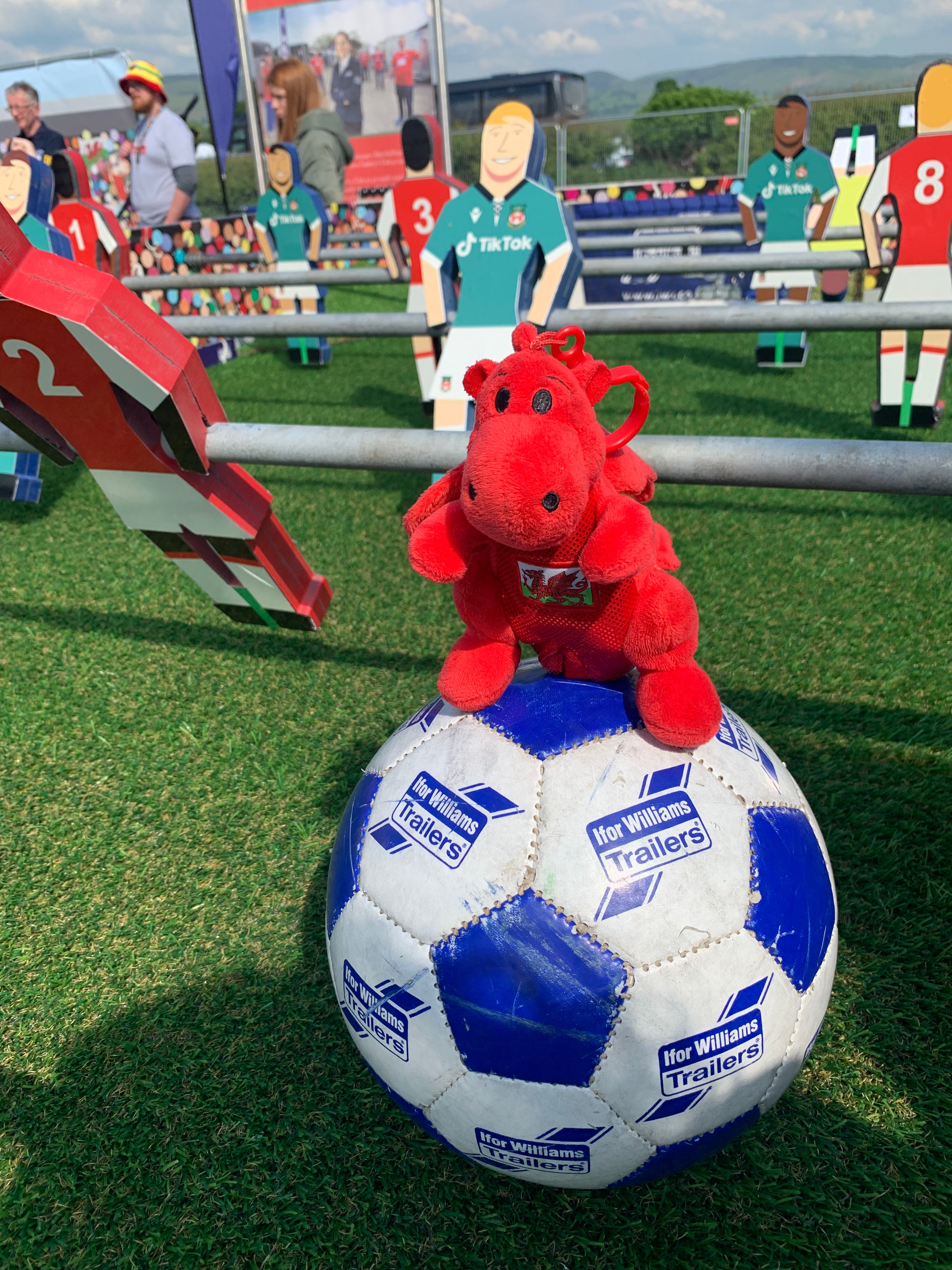 Celt - Singing Baby Red Dragon - Welsh National Anthem