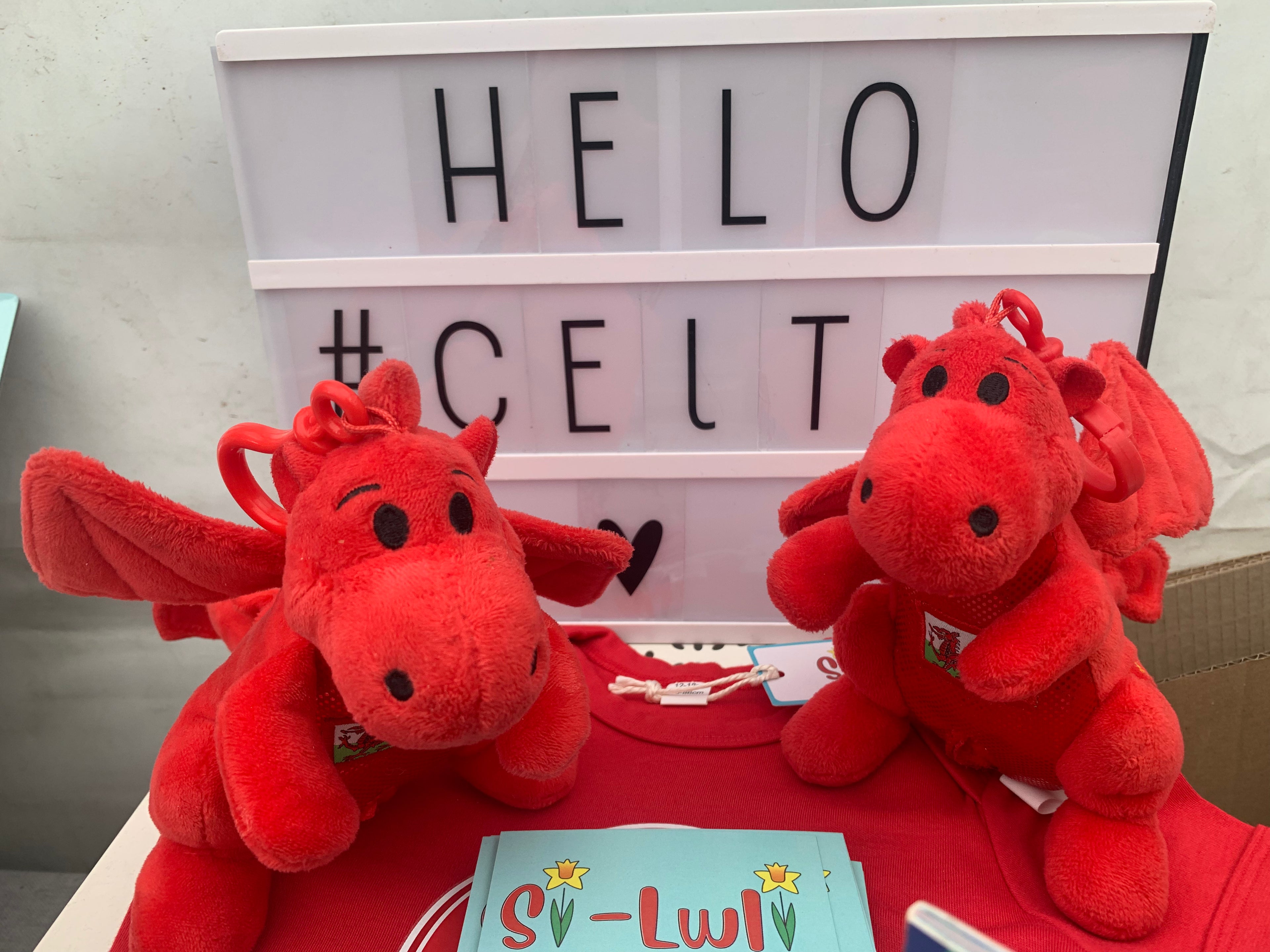 Celt - Singing Baby Red Dragon - Welsh National Anthem