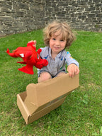 Draigi™ sings the welsh anthem, sosban fach, calon lân ac ar hyd y nos